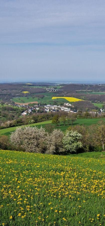 Apartamento Gemuetliche Auszeit In Der Eifel Mechernich Exterior foto